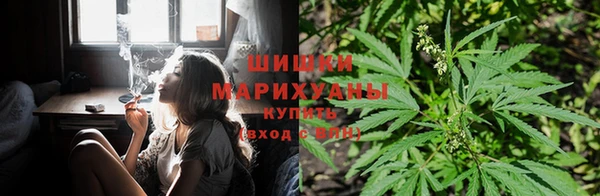 мяу мяу мука Беломорск