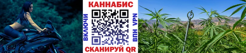 Шишки марихуана семена  где продают   Кувандык 